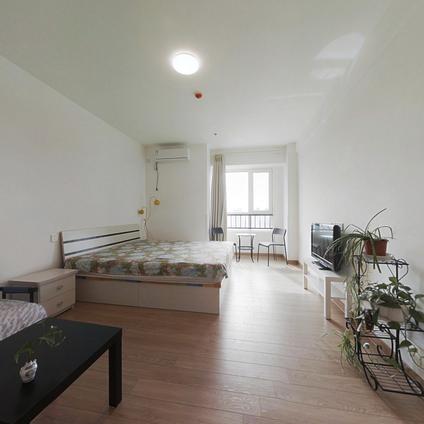 碧桂园公寓  精装修  拎包入住  一室优质户型